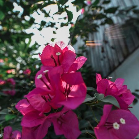 Oh Battambang Boutique Hotel Esterno foto