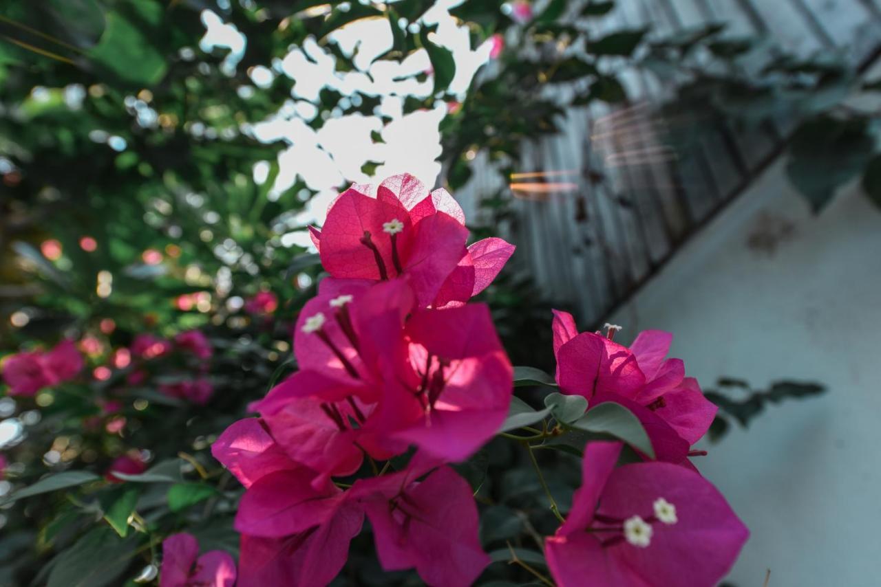 Oh Battambang Boutique Hotel Esterno foto